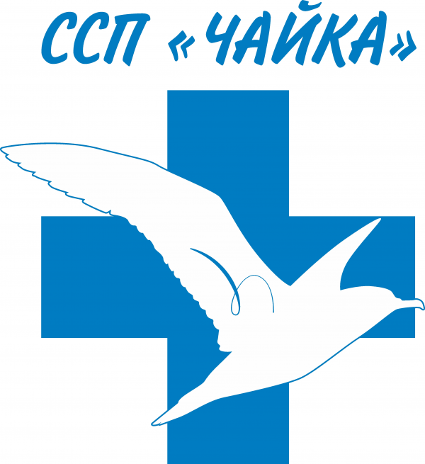 Логотип компании Служба социальных перевозок  Чайка
